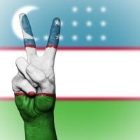 Цели выхода из гражданства Узбекистана