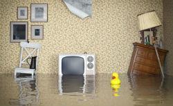 Как застраховать квартиру от затопления