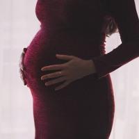 Могут ли сократить беременную сотрудницу по закону