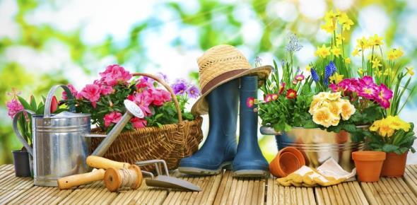 Нюансы и особенности оформления дачной амнистии