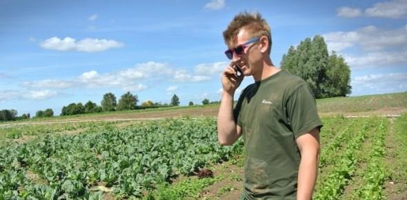 Как узнать, кто собственник земельного участка?