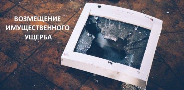 Порядок и основания для возмещения имущественного вреда