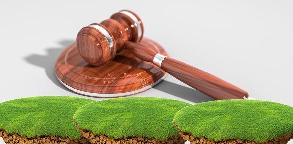 Помощь юриста по вопросам изъятия земель лесного фонда