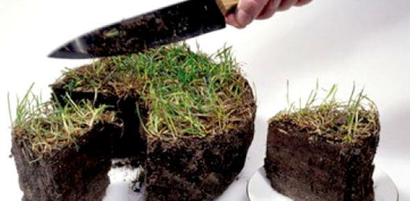 Выдел доли в натуре земельного участка из общей собственности