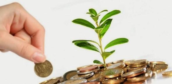 Как начать инвестировать с нуля: акции, облигации