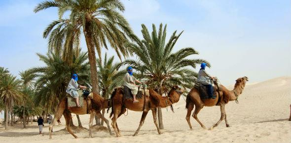 Нужна ли виза в Тунис и как ее получить?