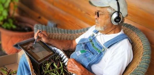 Проверка кадастрового паспорта земельного участка онлайн