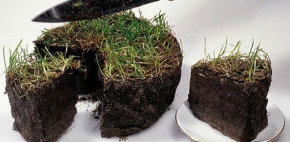 Процедура раздела земельного участка при разводе. Как составить исковое заявление?