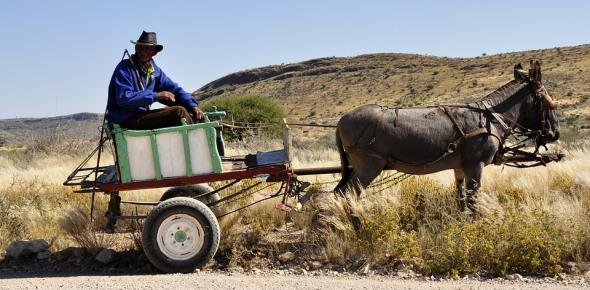 Как инвестировать в сельское хозяйство России {0}