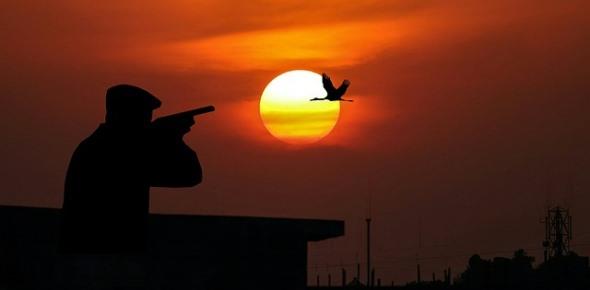 Статья 258 УК РФ. Незаконная охота