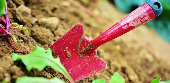 Как и где оформить договор купли продажи земельного участка?