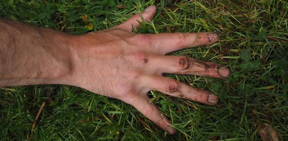 Порядок изъятия земельного участка у собственника