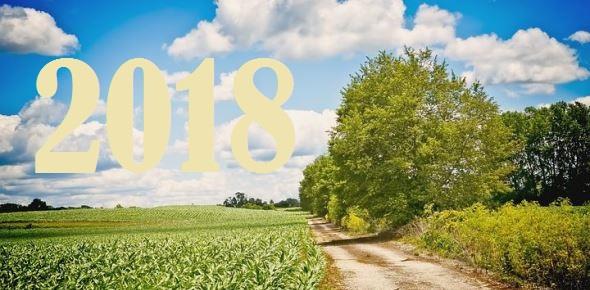 Что будет, если не сделать межевание до 2018 года?