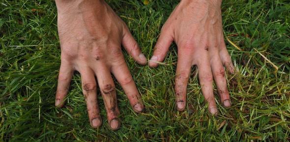 Оформление земельного пая в собственность